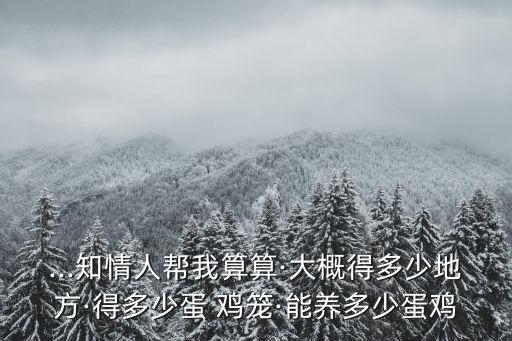 ...知情人幫我算算·大概得多少地方·得多少蛋 雞籠·能養(yǎng)多少蛋雞