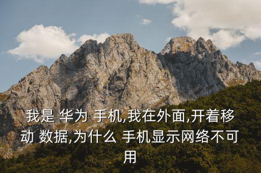 華為手機(jī)移動數(shù)據(jù)提示信息