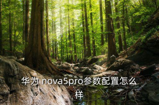 華為 nova5pro參數(shù)配置怎么樣