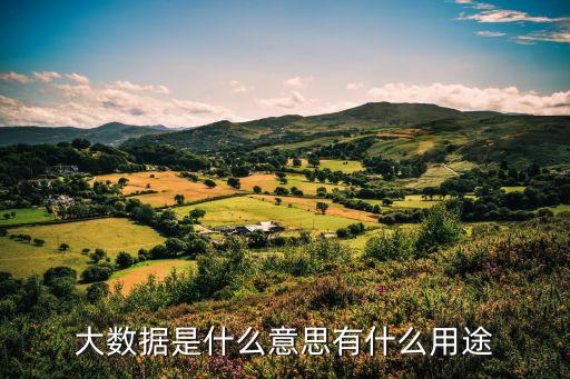 大數(shù)據(jù)是什么意思有什么用途