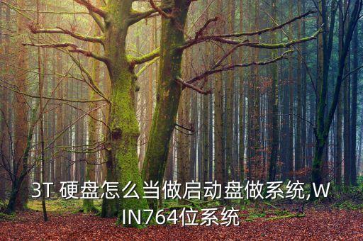 3t硬盤分區(qū) 做數(shù)據(jù)盤