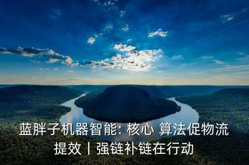 藍(lán)胖子機(jī)器智能: 核心 算法促物流提效丨強(qiáng)鏈補(bǔ)鏈在行動(dòng)