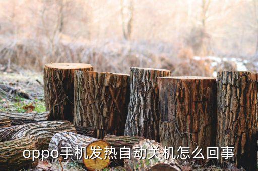 oppo手機(jī)發(fā)熱自動關(guān)機(jī)怎么回事