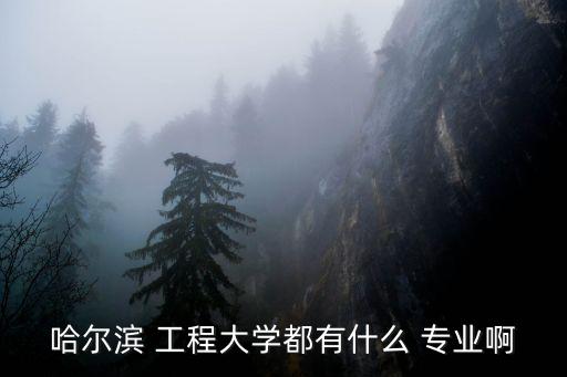 哈爾濱 工程大學(xué)都有什么 專業(yè)啊