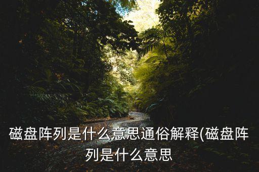 磁盤(pán)陣列是什么意思通俗解釋(磁盤(pán)陣列是什么意思