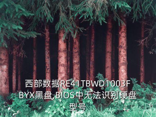 西部數(shù)據(jù)黑盤(pán) 問(wèn)題,關(guān)于西數(shù)硬盤(pán)和希捷硬盤(pán)你知道多少?