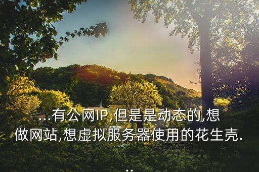 ...有公網(wǎng)IP,但是是動態(tài)的,想做網(wǎng)站,想虛擬服務(wù)器使用的花生殼...