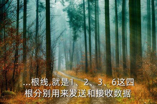 ...根線,就是1、2、3、6這四根分別用來發(fā)送和接收數(shù)據(jù)
