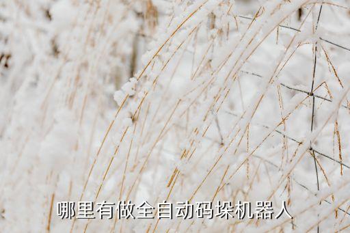 哪里有做全自動碼垛機器人