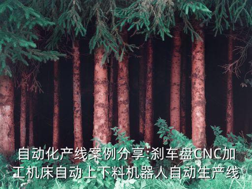 自動(dòng)化產(chǎn)線案例分享:剎車盤CNC加工機(jī)床自動(dòng)上下料機(jī)器人自動(dòng)生產(chǎn)線