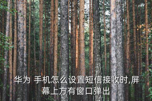  華為 手機怎么設置短信接收時,屏幕上方有窗口彈出