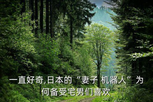 一直好奇,日本的“妻子 機器人”為何備受宅男們喜歡