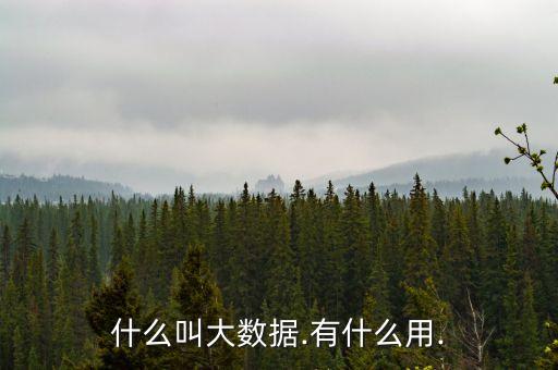 大數(shù)據(jù)是否有用,大數(shù)據(jù)有什么用?