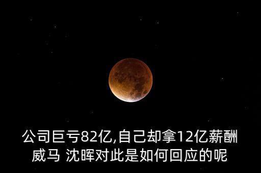 公司巨虧82億,自己卻拿12億薪酬威馬 沈暉對此是如何回應(yīng)的呢