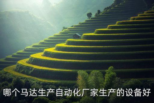 哪個(gè)馬達(dá)生產(chǎn)自動(dòng)化廠家生產(chǎn)的設(shè)備好