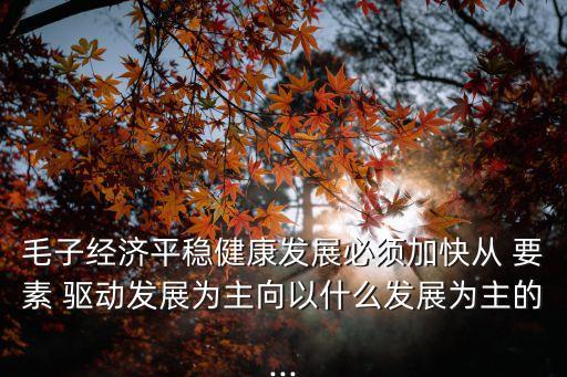 毛子經(jīng)濟(jì)平穩(wěn)健康發(fā)展必須加快從 要素 驅(qū)動(dòng)發(fā)展為主向以什么發(fā)展為主的...