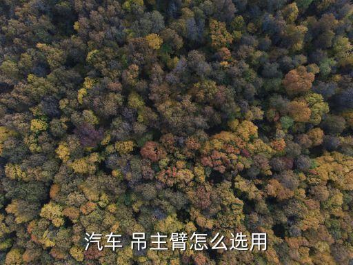 吊主,吊臂碰彎了可以修復(fù)嗎?一般情況下可修復(fù)