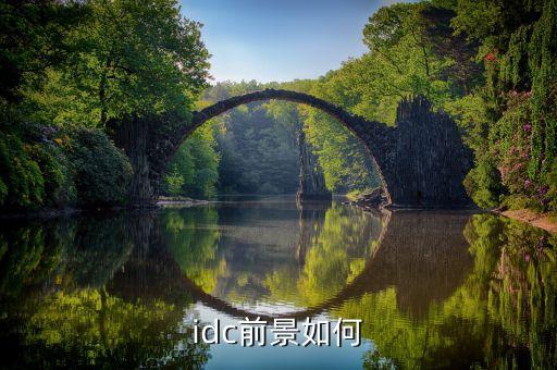 idc前景如何
