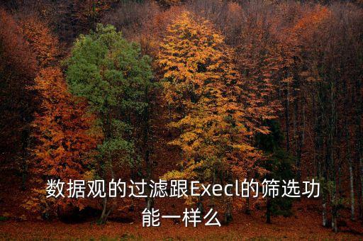  數(shù)據(jù)觀的過濾跟Execl的篩選功能一樣么