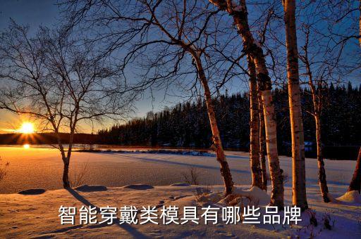 智能穿戴類模具有哪些品牌