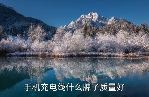 哪個(gè)牌子的數(shù)據(jù)線好,數(shù)據(jù)線需要什么?