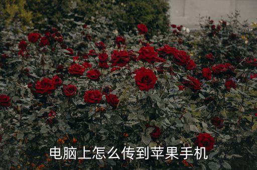 電腦上怎么傳到蘋(píng)果手機(jī)