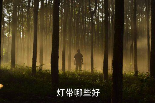  燈帶哪些好