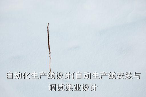 自動(dòng)化生產(chǎn)線設(shè)計(jì)(自動(dòng)生產(chǎn)線安裝與調(diào)試課業(yè)設(shè)計(jì)