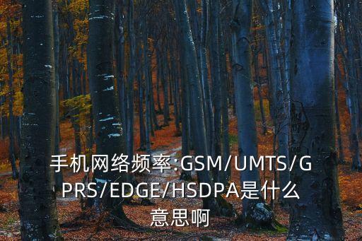 手機網(wǎng)絡(luò)頻率:GSM/UMTS/GPRS/EDGE/HSDPA是什么意思啊