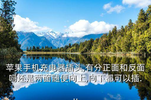 蘋果手機(jī)充電器插頭,有分正面和反面嗎還是兩面隨便向上,向下都可以插...