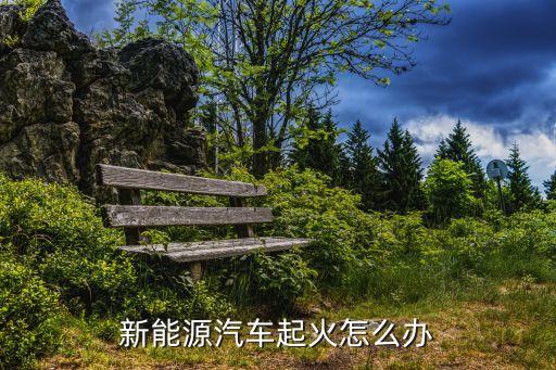 電動(dòng)汽車起火,電動(dòng)汽車起火怎么辦?