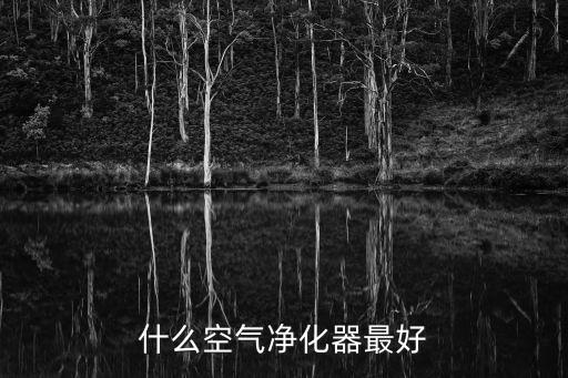 什么空氣凈化器最好