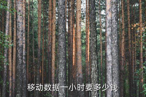 移動(dòng)數(shù)據(jù)一小時(shí)要多少錢