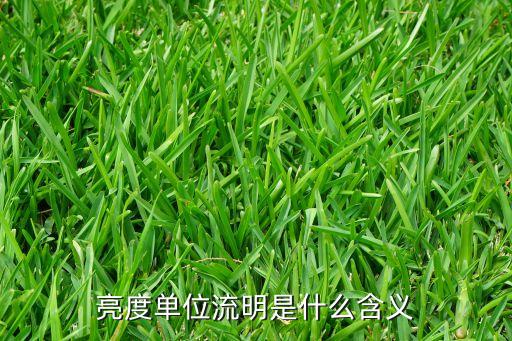 流明值