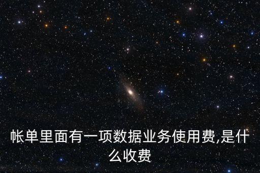 數(shù)據(jù)業(yè)務費是什么,中國神州行數(shù)據(jù)業(yè)務費是什么東西啊?