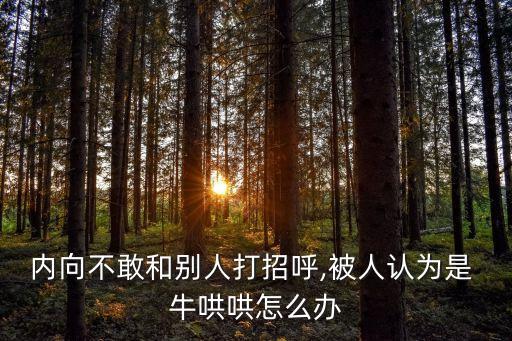 內(nèi)向不敢和別人打招呼,被人認(rèn)為是 牛哄哄怎么辦