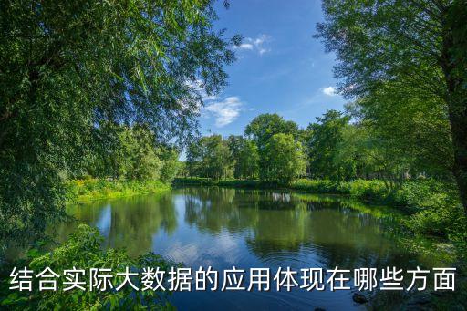 結(jié)合實(shí)際大數(shù)據(jù)的應(yīng)用體現(xiàn)在哪些方面