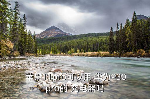 蘋果數(shù)據(jù)線用華為插頭充電,華為充電插頭可以充蘋果嗎