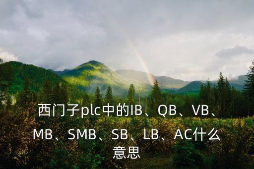 西門子plc中的IB、QB、VB、MB、SMB、SB、LB、AC什么意思