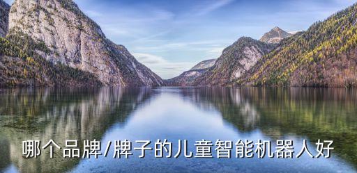 哪個品牌/牌子的兒童智能機器人好