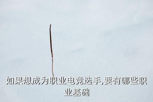 電競所需各個數(shù)據(jù),電競需要具備什么條件?