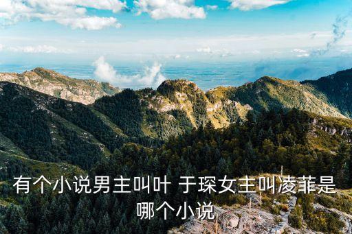 有個小說男主叫葉 于琛女主叫凌菲是哪個小說