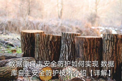 sybase 審計(jì)數(shù)據(jù)庫(kù),數(shù)據(jù)庫(kù)審計(jì)廠(chǎng)商排名