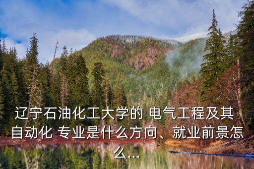 遼寧石油化工大學(xué)的 電氣工程及其 自動化 專業(yè)是什么方向、就業(yè)前景怎么...