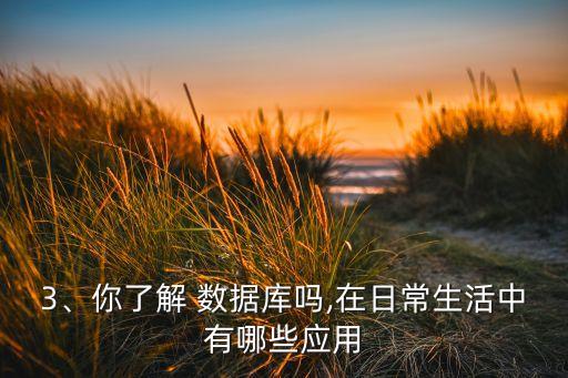 3、你了解 數(shù)據(jù)庫(kù)嗎,在日常生活中有哪些應(yīng)用