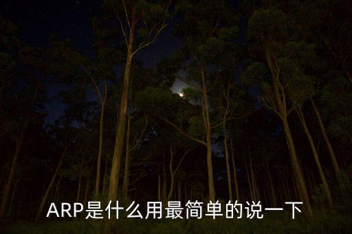 ARP是什么用最簡單的說一下