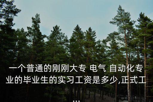 一個(gè)普通的剛剛大專 電氣 自動(dòng)化專業(yè)的畢業(yè)生的實(shí)習(xí)工資是多少,正式工...
