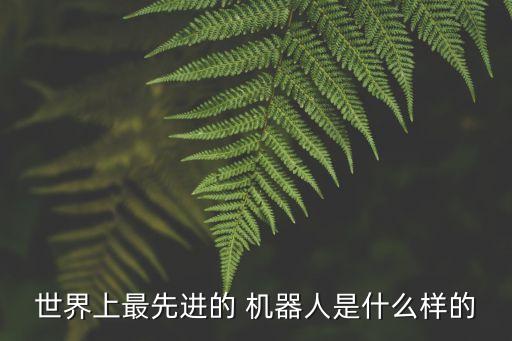 ecci機(jī)器人