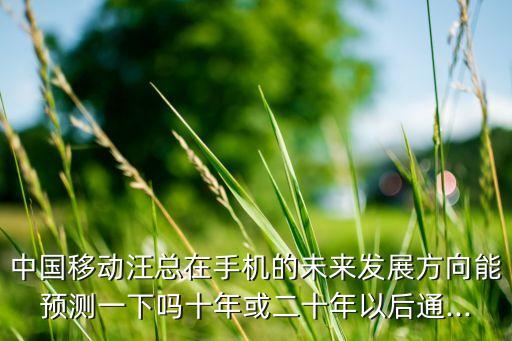 中國(guó)移動(dòng)汪總在手機(jī)的未來(lái)發(fā)展方向能預(yù)測(cè)一下嗎十年或二十年以后通...