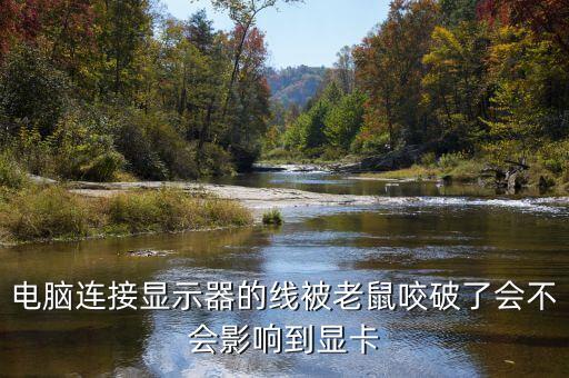 主機(jī)數(shù)據(jù)線(xiàn)被老鼠,怎么避免老鼠咬電腦線(xiàn)?